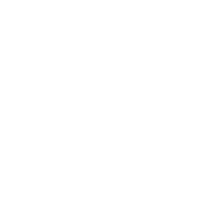 Mack Trucks logo